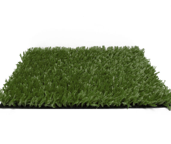 Edel Grass - LSR 24 Field Green