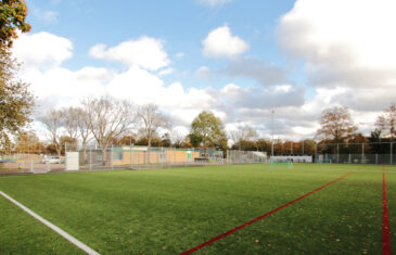 GreenFill: innovative and environmentally friendly infill grain for artificial turf pitches